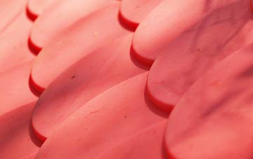 Magherafelt plastic roof costs